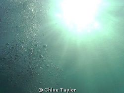 Natural Light, Abrolhos Islands ;) by Chloe Taylor 